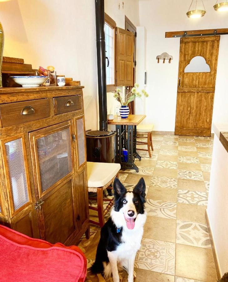 Appartamento La Casilla Del San Anton Níjar Esterno foto